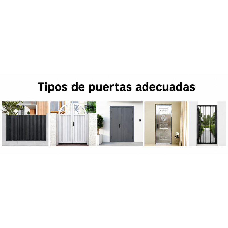 Cerradura sobreponer control salida