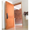 Puerta de seguridad LIZSAFE - Expert Plus