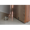 Puerta de seguridad LIZSAFE - Expert Plus