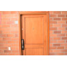 Puerta de seguridad LIZSAFE - Expert Plus
