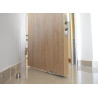 Puerta de seguridad LIZSAFE Máster