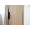 Puerta de seguridad LIZSAFE Máster