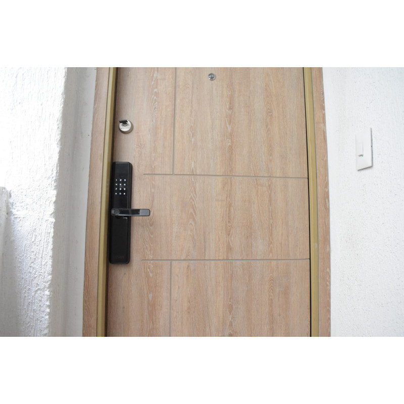 Puerta de seguridad LIZSAFE Máster