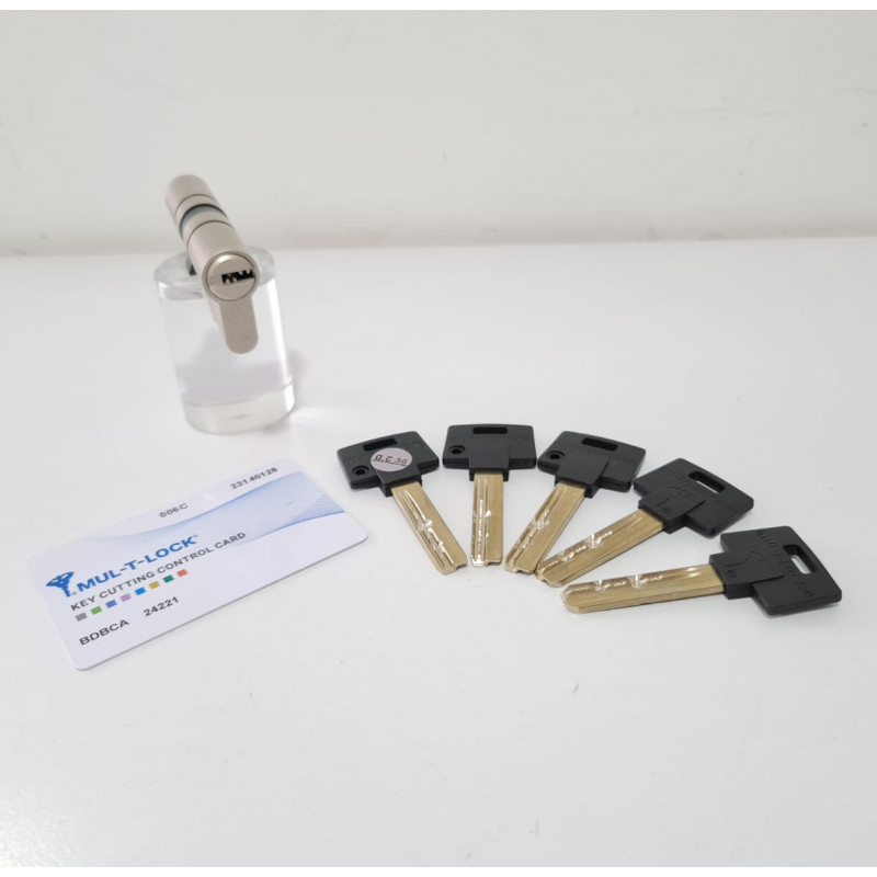 Cerradura Mul-T-Lock 265 con manijas SH300 y cilindro
